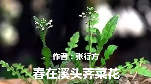 image/20200310/2f8c7ae65ce8982205380015f55903a3.jpeg